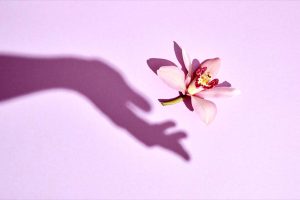 m/بهترین دکتر واژینوپلاستی