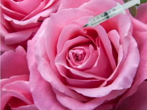 m/هزینه تزریق ژل به نقطه جی