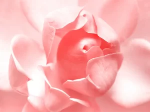 m/هزینه مزوتراپی واژن